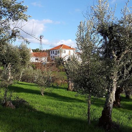 Quinta Quatro Ventos Bed and Breakfast Sertã Buitenkant foto