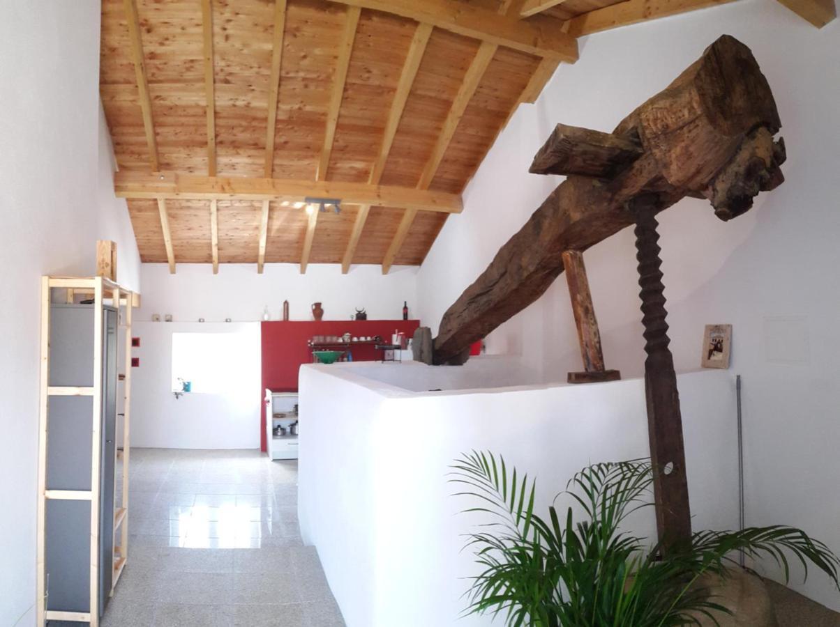 Quinta Quatro Ventos Bed and Breakfast Sertã Buitenkant foto