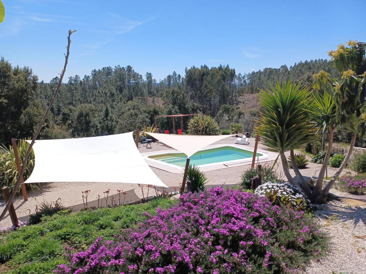 Quinta Quatro Ventos Bed and Breakfast Sertã Buitenkant foto